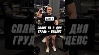 СПЛИТ НА 3 ДНЯ В НЕДЕЛЮ! ГРУДЬ + БИЦЕПС! День 1