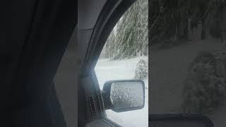 Krys rd gaylord Michigan,  ice storm damage.