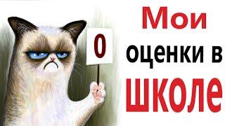 Приколы! МОИ ОЦЕНКИ В ШКОЛЕ! Смешные видео от Доми шоу! (анимация)