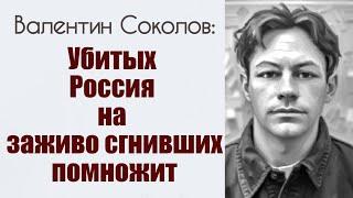 Убитых Россия на заживо сгнивших помножит. Валентин Соколов.