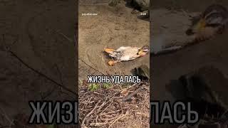 Чтоб я так жил – ваш путеводитель в мир релаксации #психология #релакс #жизньудалась