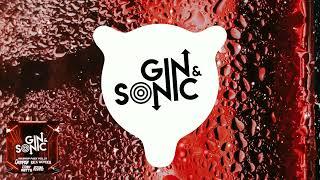 Gin and Sonic Mashup Pack Vol.  21 feat. Chumpion, SEEING DOUBLE, Coby Watts, Rick Wonder