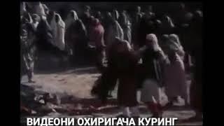 Ислом олами....