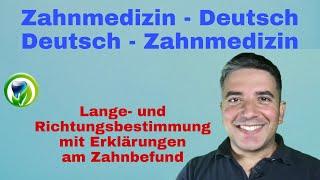 Zahnmedizin -Deutsch | Deutsch - Zahnmedizin | Begriffe mit Erklärung am Beispiel des Zahnbefundes