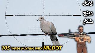 Long Range Doves Hunting || 105 Yads Clean Shots || San projectiles #airgunhunting