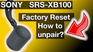 How to unpair Sony Bluetooth speaker SRS XC100 (How to instructions)