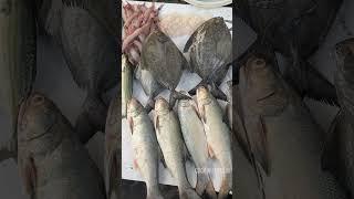 Trombay Koliwada Fish Market Tour #fishmarket #shorts #shortsfeed #fishing #shopping