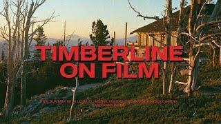 Timberline on film