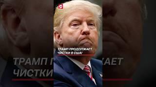 Трамп ликвидирует Министерство образования США! #сша #трамп #образование #кризис #политика