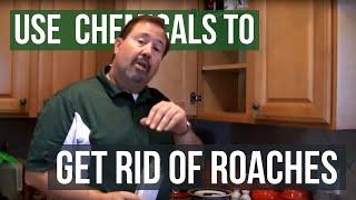 How to Get Rid of German Roaches by Solutions Pest & Lawn