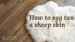 How to Egg Tan a Sheep Hide