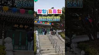  양양의 숨은 절경, 바다 위 휴휴암 여행 #양양여행 #휴휴암 #강원도여행 #힐링여행 #바다사찰 #거북이바위 #양양가볼만한곳 #동해바다