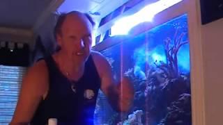 Surge Reef Aquarium, LA Fishguys, Episode Five, Part 2