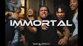 [FREE] Kyle Richh x DudeyLo x Type Beat 2024 "Immortal" | NY Drill Type Beat 2024