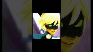 Cat Noir | Rabbit Noir | Cat Blanc | edit | #AdrienAgreste