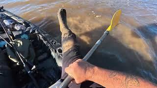 When Things Go Wrong: Kayak Fishing At Lake William Hovell