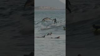 Dolphins share waves with surfers at Rincon!