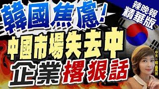 【盧秀芳辣晚報】失去中國的報應! 韓國企業苦惱很難找到替代市場 | 韓國焦慮! "中國市場失去中" 企業撂狠話@中天新聞CtiNews  精華版