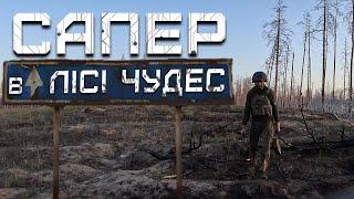 «ЗАБОРОНКИ» від росіян, МІННІ загородження в лісі під Кремінною: бригада «Буревій» НГУ