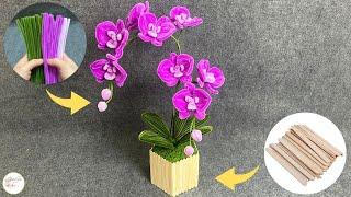 🪻Pipe Cleaner Flower🪻 How to make Phalaenopsis Orchids Pot with Pipe Cleaner vs Popsicle Stick