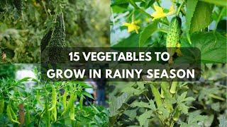 Rainy Season Vegetables in India |Top 15 Monsoon Season Vegetables You Can Grow in Your Garden