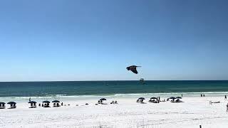 Destin Florida Beach view