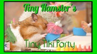 Tiny Hamster's Tiny Tiki Party (Ep. 6)