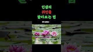 인생의 귀인을 알아보는 법 #명언 #좋은말 #좋은글 #인생조언 #지혜 #철학