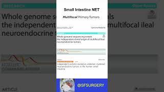 Multifocal Small Intestine Neuroendocrine Tumors (SI-NETs): Unique Surgical Considerations