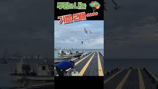 투망은 나눔 기쁨2배~~ #shorts #투망 #바다투망 #취미 #취미생활 #기쁨 #행복