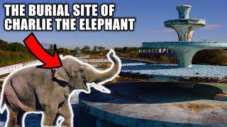 Exploring The Lost Butlin's Filey Holiday Camp | The Buried Elephant!