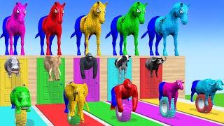 Long Slide Game With Cow Elephant Gorilla Hippopotamus Tiger - 3d Animal Game - Funny 3d Animals