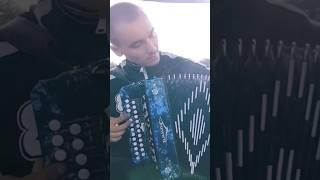 Русская дорога. И. Растеряев #music #гармошка