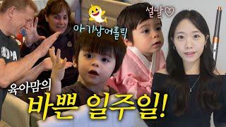 아기상어 노래에 댄스폭발,생애 첫 공룡,,미국에서 설날, 에어랩도 성공!, 사우나 운동에 푹 빠진 알차딘 알찬 한주~!