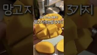두고두고 써먹는 망고 자르는 방법 3가지 망고자르기 예쁘게 깔끔하게 손질하기 망고까기 종결 이렇게 해보세요! #생활꿀팁 #살림노하우