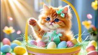  Tiny Cat’s Easter Morning Magic | She Decorated the Entire Easter Basket Herself 