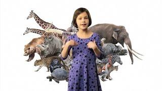 ASL Animals Song Lesson for Kids - Learn how to sign Animals with Fireese