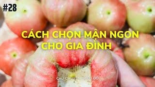 Cách chọn mận ngon cho gia đình | Câu Chuyện Triệu Đô - Podcast #28