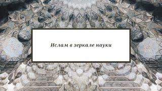 Изучение личности арабского философа Мухаммада ибн аль-Джаббира ан-Нифари. Псху Р.В.