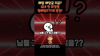 매달 배당금까지 지급하는 국내 첫 파킹형 월배당ETF! ㄷㄷㄷ ( feat. Sol cd금리 머니마켓액티브 ) #주식 #etf #재테크 #경제