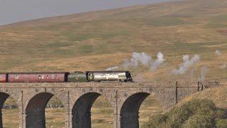 Tangmere STOPS to take the views over Batty Moss Viaduct on the Waverley 18 08 2024