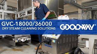 Goodway Technologies GVC-18000/GVC-36000 Dry Steam Cleaners - Allergen and Soils Removal