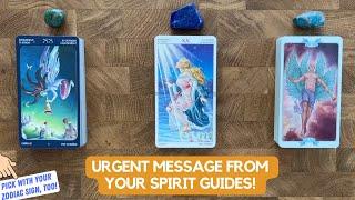 Urgent Message From Your Spirit Guides! | Timeless Reading