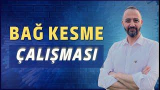 Bağ Kesme Çalışması #reklam #bağkesme #bilalcantürk   | Bilal Cantürk