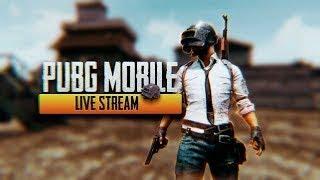 PUBG live "winner winner chicken dinner"