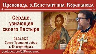 Сердце, узнающее своего Пастыря.  Проповедь священника Константина Корепанова (06.06.2024)