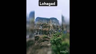 #lohagadfort #medicos #nature