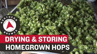 How to Dry and Store Homegrown Hops