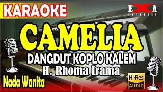 CAMELIA KARAOKE || DANGDUT KOPLO KALEM