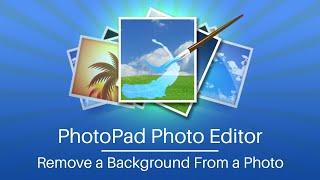 How to Remove a Background From a Photo | PhotoPad Photo Editor Tutorial